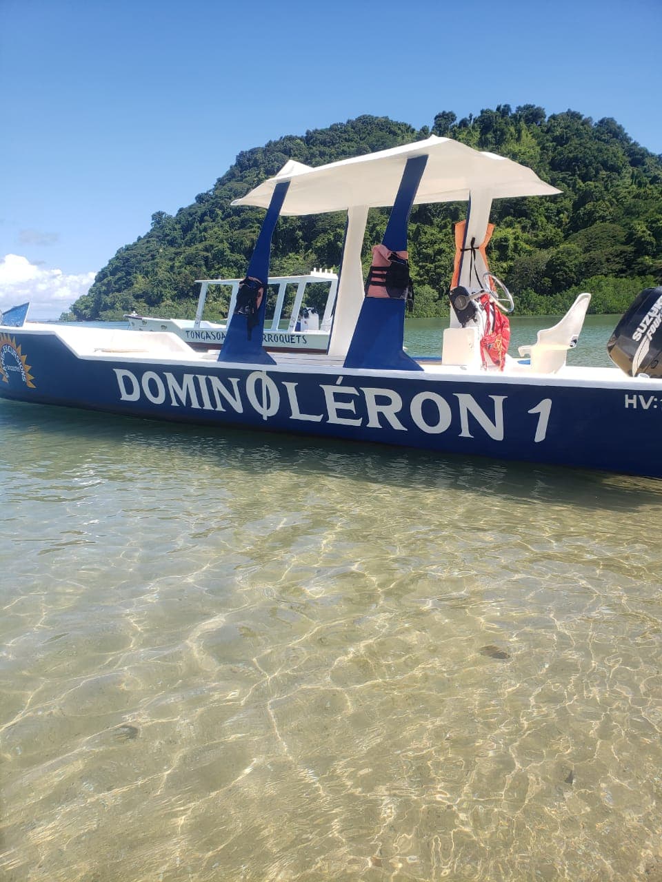 Bateau DOMINOLERON en mer